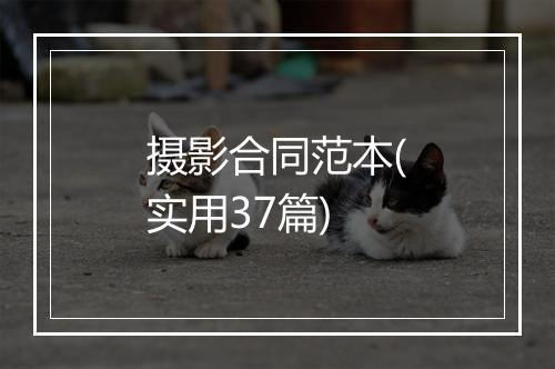 摄影合同范本(实用37篇)