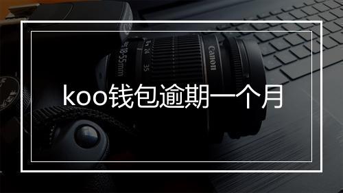koo钱包逾期一个月