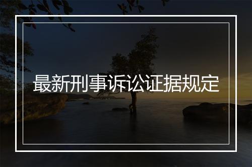 最新刑事诉讼证据规定