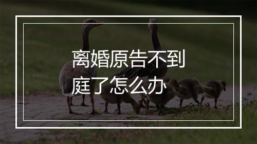 离婚原告不到庭了怎么办