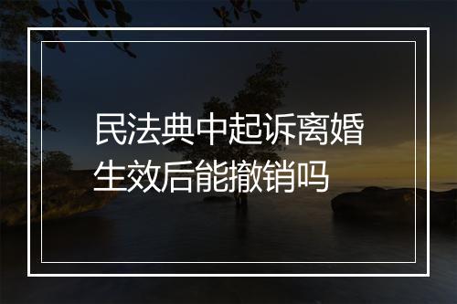 民法典中起诉离婚生效后能撤销吗