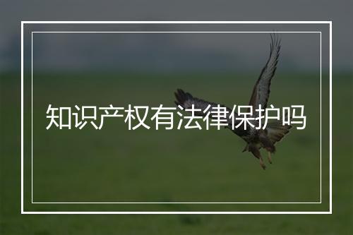 知识产权有法律保护吗