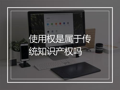 使用权是属于传统知识产权吗