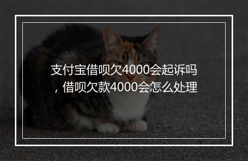 支付宝借呗欠4000会起诉吗，借呗欠款4000会怎么处理