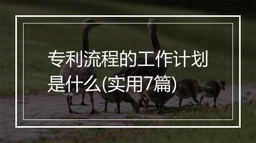 专利流程的工作计划是什么(实用7篇)