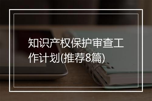 知识产权保护审查工作计划(推荐8篇)