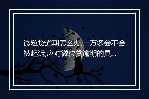 微粒贷逾期怎么办,一万多会不会被起诉,应对微粒贷逾期的具体