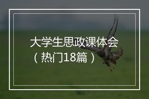 大学生思政课体会（热门18篇）