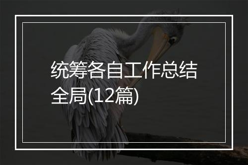 统筹各自工作总结全局(12篇)