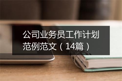 公司业务员工作计划范例范文（14篇）