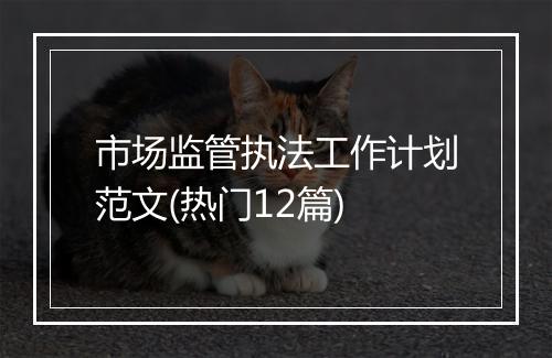 市场监管执法工作计划范文(热门12篇)