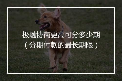 极融协商更高可分多少期（分期付款的最长期限）