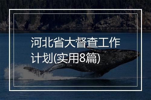 河北省大督查工作计划(实用8篇)