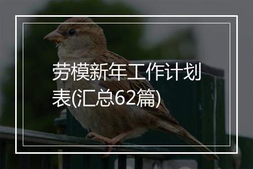 劳模新年工作计划表(汇总62篇)