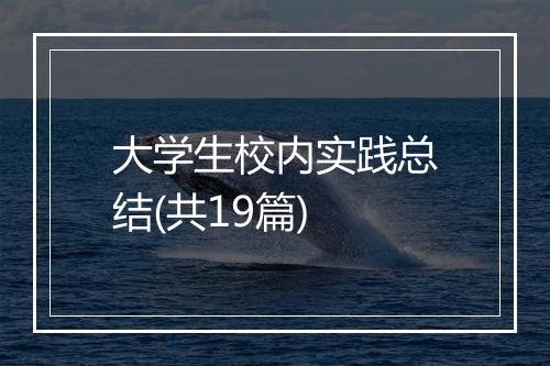 大学生校内实践总结(共19篇)