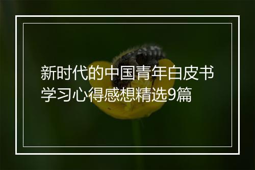 新时代的中国青年白皮书学习心得感想精选9篇