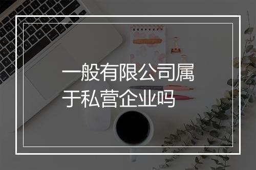 一般有限公司属于私营企业吗