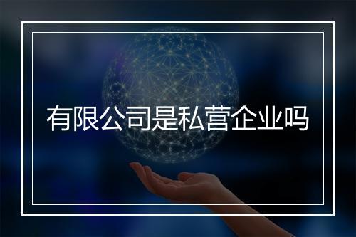 有限公司是私营企业吗