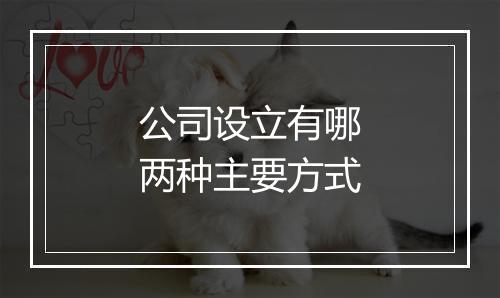 公司设立有哪两种主要方式