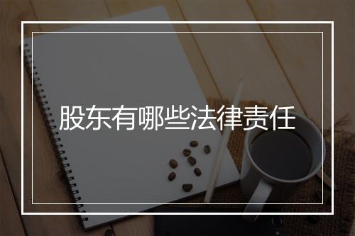 股东有哪些法律责任
