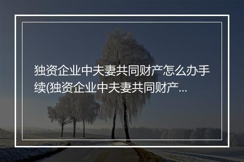 独资企业中夫妻共同财产怎么办手续(独资企业中夫妻共同财产怎么办)
