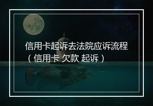 信用卡起诉去法院应诉流程（信用卡 欠款 起诉）