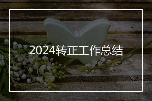 2024转正工作总结