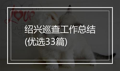 绍兴巡查工作总结(优选33篇)