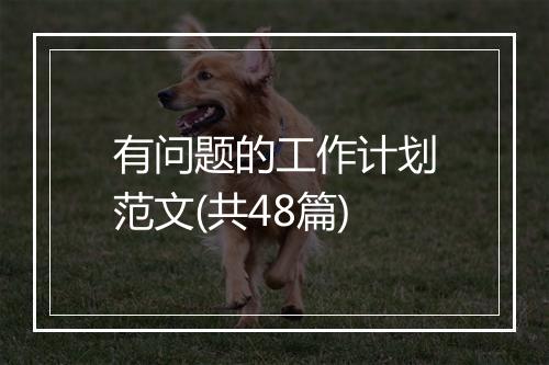 有问题的工作计划范文(共48篇)