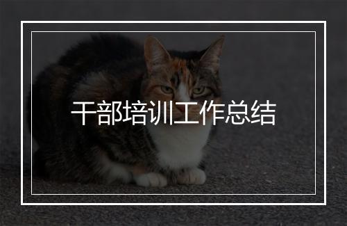 干部培训工作总结