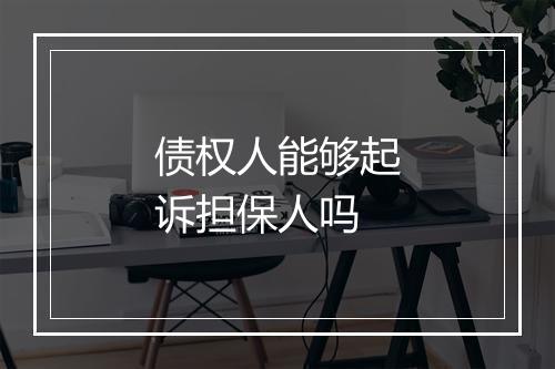债权人能够起诉担保人吗