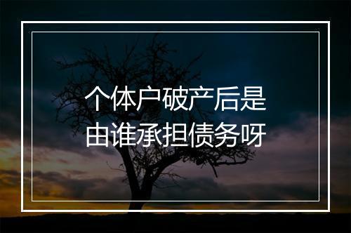 个体户破产后是由谁承担债务呀