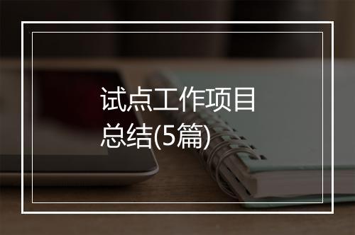 试点工作项目总结(5篇)