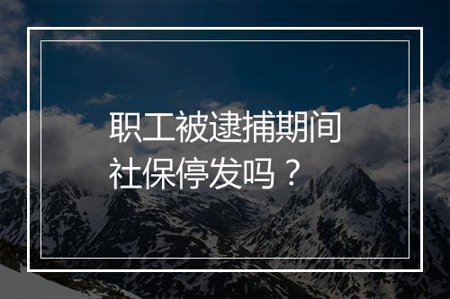 职工被逮捕期间社保停发吗？