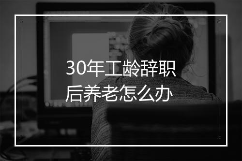 30年工龄辞职后养老怎么办