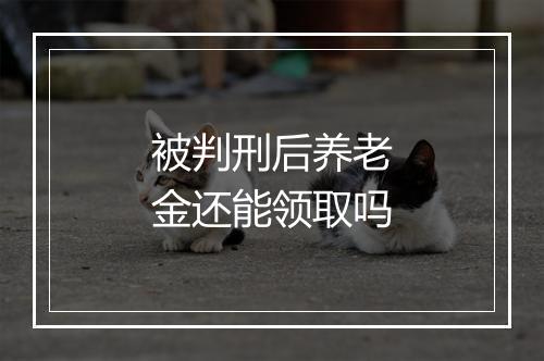 被判刑后养老金还能领取吗