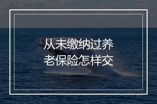 从未缴纳过养老保险怎样交