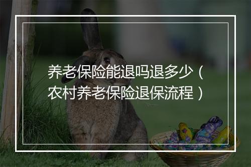 养老保险能退吗退多少（农村养老保险退保流程）
