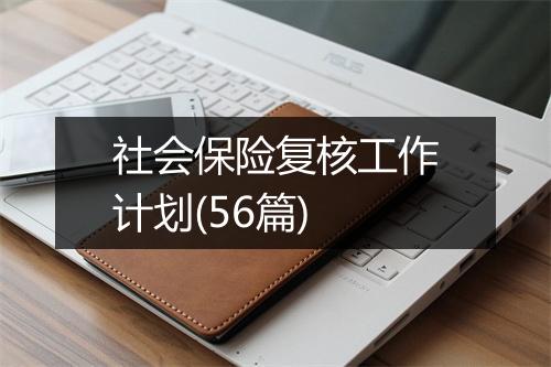 社会保险复核工作计划(56篇)
