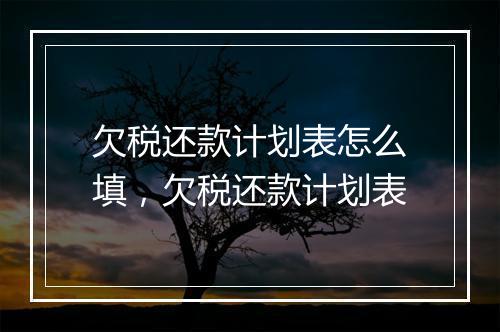 欠税还款计划表怎么填，欠税还款计划表