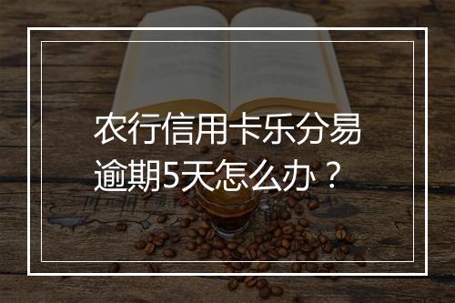 农行信用卡乐分易逾期5天怎么办？