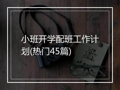 小班开学配班工作计划(热门45篇)