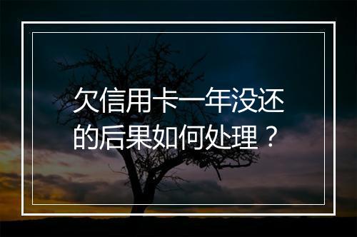 欠信用卡一年没还的后果如何处理？