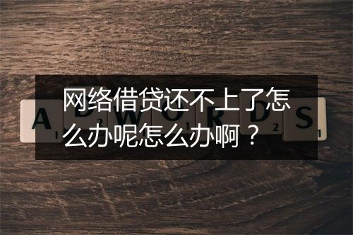 网络借贷还不上了怎么办呢怎么办啊？
