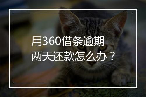用360借条逾期两天还款怎么办？