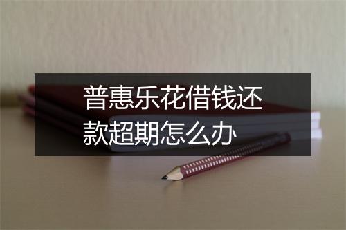 普惠乐花借钱还款超期怎么办