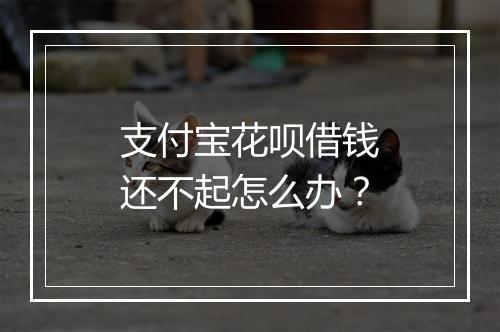 支付宝花呗借钱还不起怎么办？