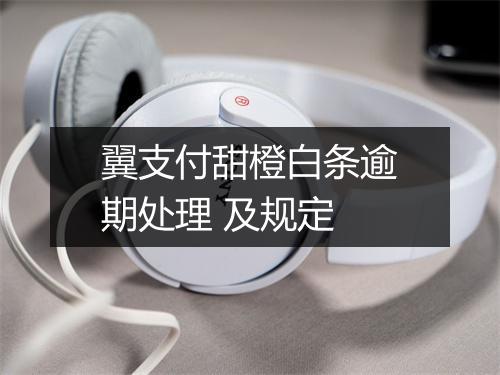 翼支付甜橙白条逾期处理 及规定