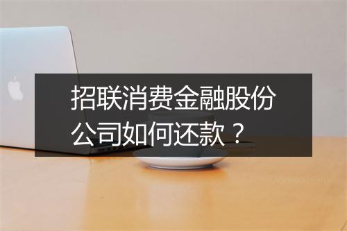 招联消费金融股份公司如何还款？