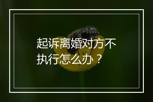 起诉离婚对方不执行怎么办？